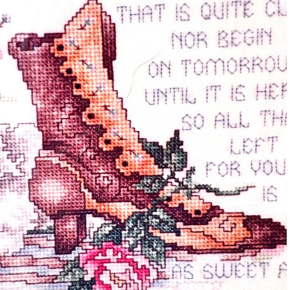 Janlynn Persian Kitten Victorian Shoe Sweet Poem Cross Stitch Kit Vtg 80s NEW